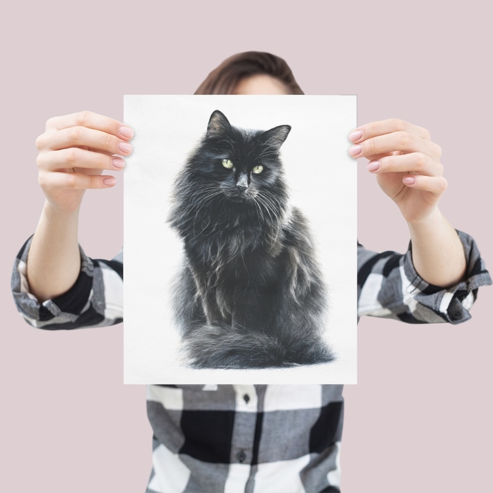 Watercolor Siberian Black Cat Art Print Illustartion - Pet Portrait - Unframed - Picture 4 of 6